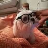 allyson428